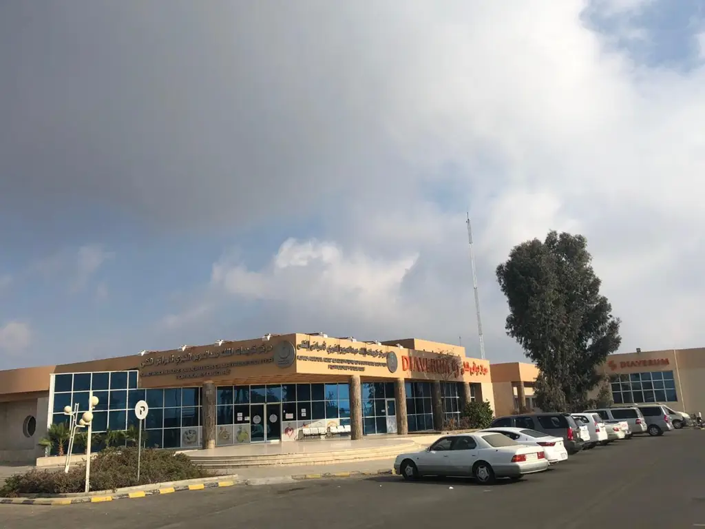 دياڤيرم أبها